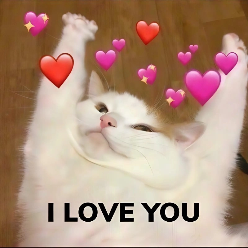 Cười rớt nước mắt với meme tình yêu hài