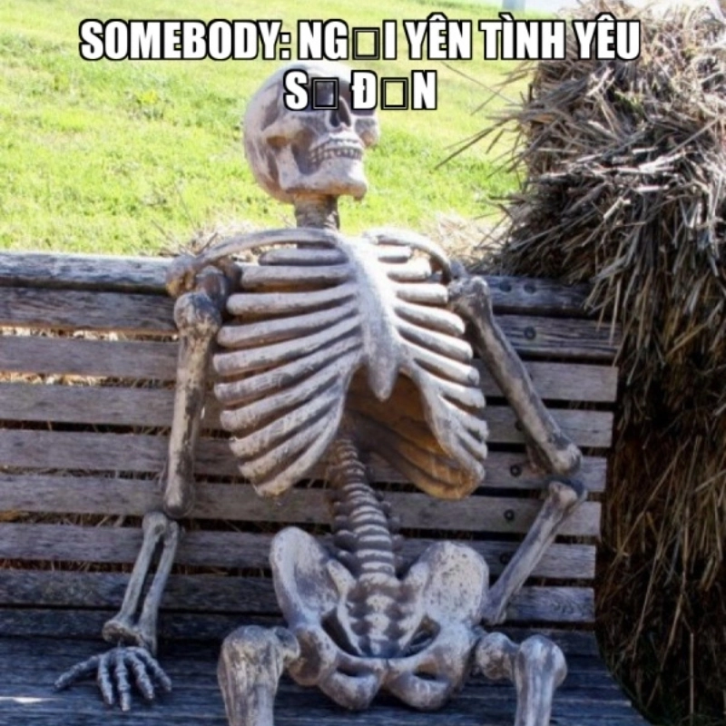 Dễ thương hết mức với meme ngồi im tình yêu sẽ đến
