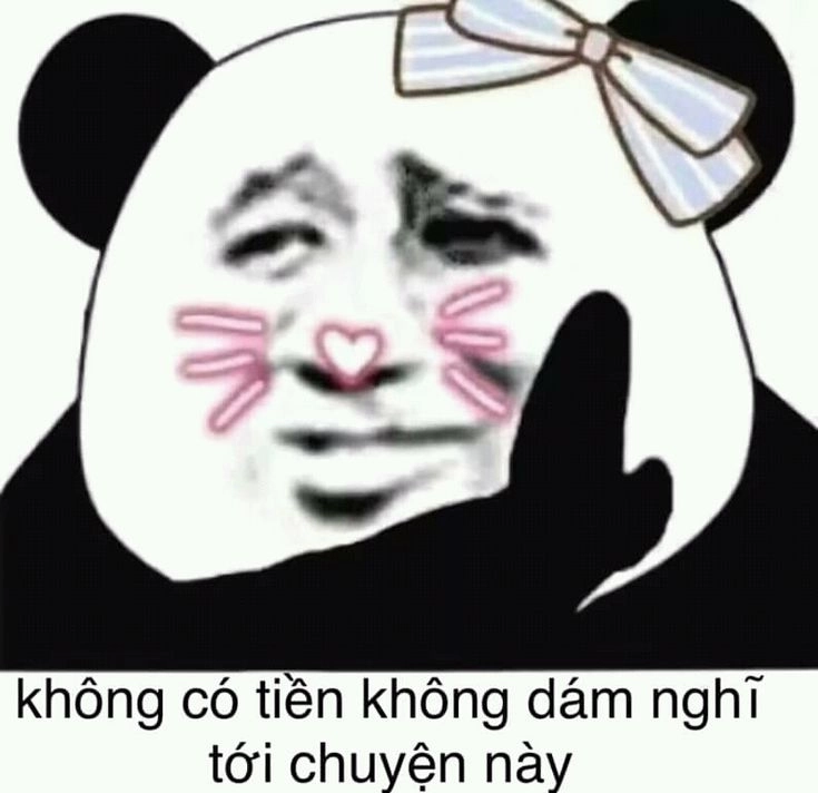 Gấu trúc chưa bao giờ hài hơn trong meme gấu trúc bựa trung quốc