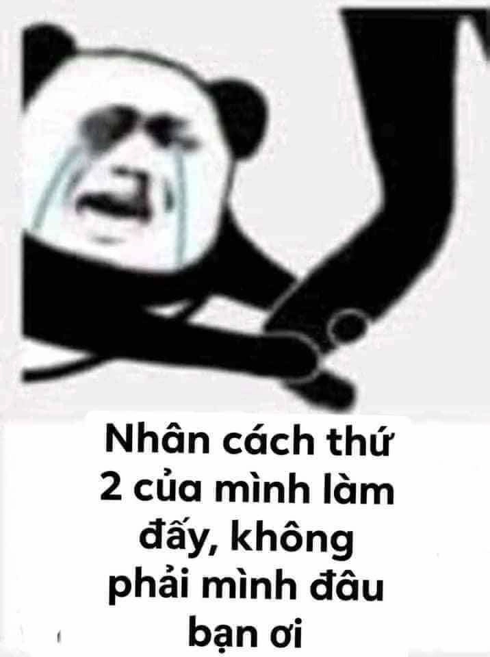 Tấu hài đỉnh cao đến từ meme trung quốc cười