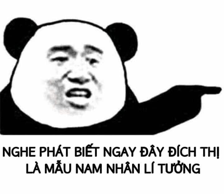 Độ “mặn” không giới hạn từ gấu trúc meme trung quốc