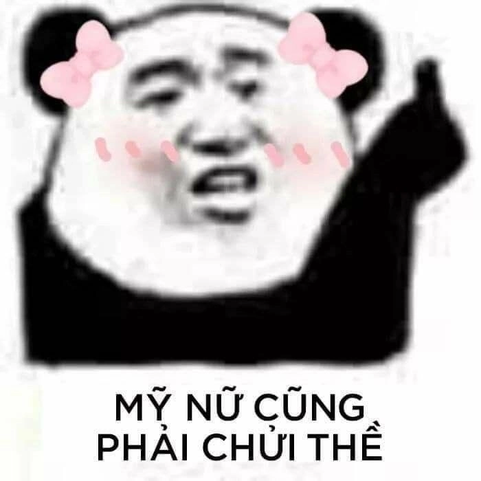Cưng xỉu với combo meme con gấu trúc trung quốc
