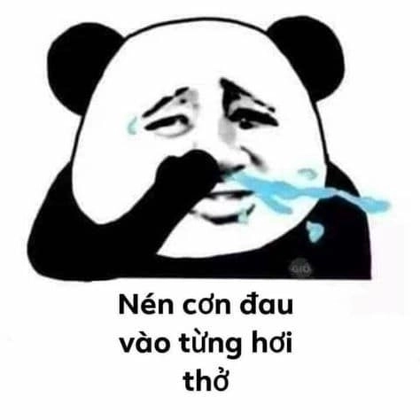 Mỗi lần xuất hiện là viral với meme trung quốc hài