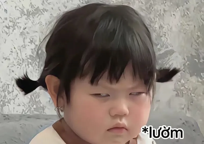 Đừng động vào kẻ đang giữ meme giận