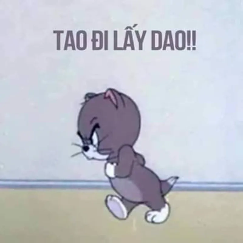 Biểu cảm đỉnh cao trong meme mèo tom tức giận