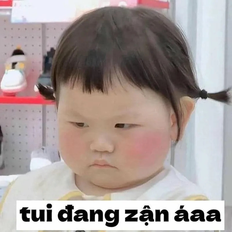 Tâm bất biến giữa đời không tức giận