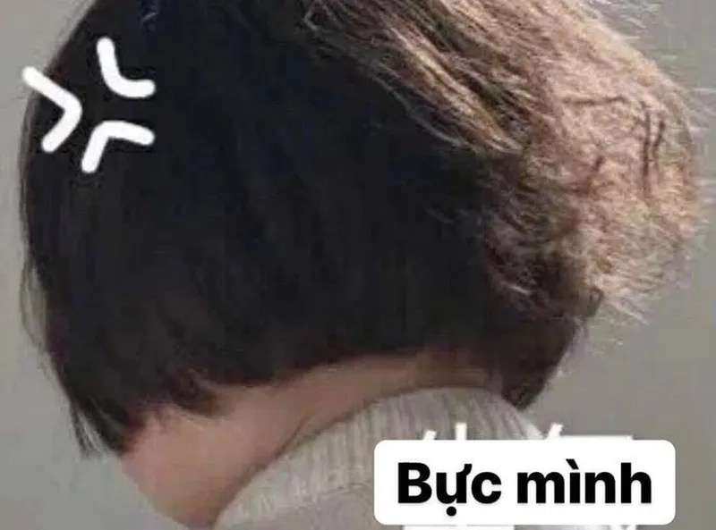 Căng mà vẫn cute chỉ có ở meme tức giận cute