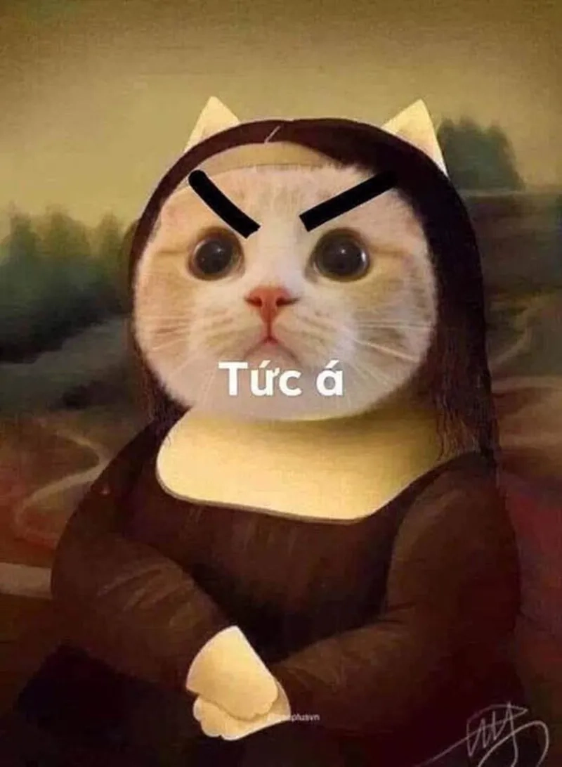 Fan anime khó bỏ qua loạt meme tức giận anime