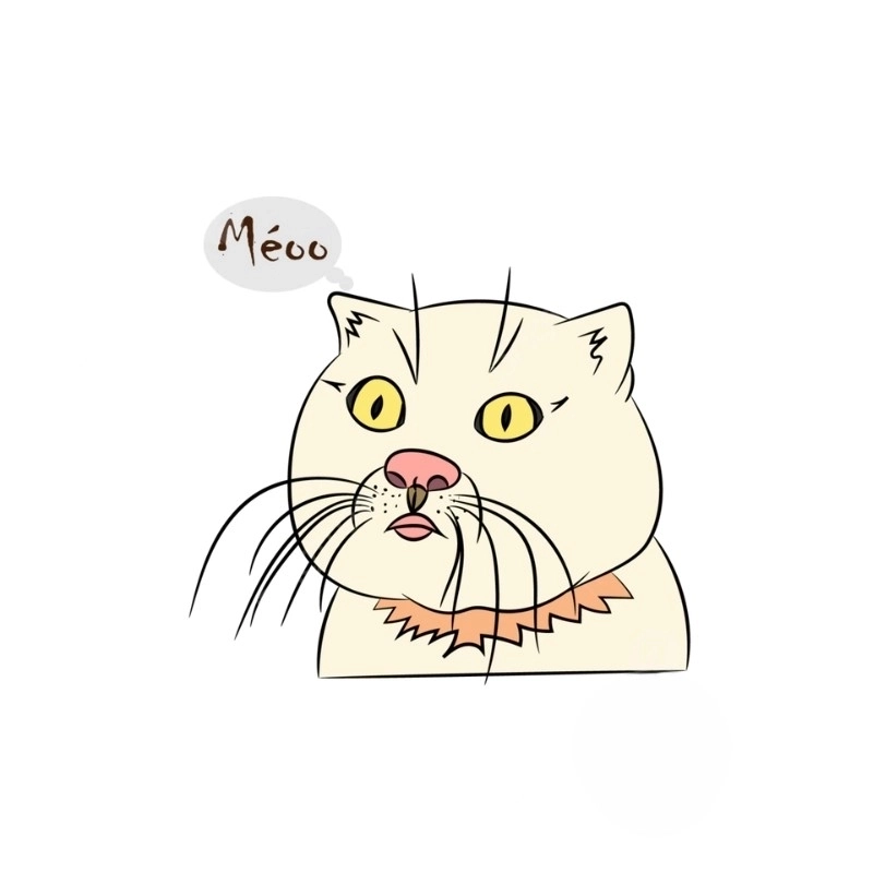 Ngập tràn sáng tạo với mèo meme vẽ siêu hài