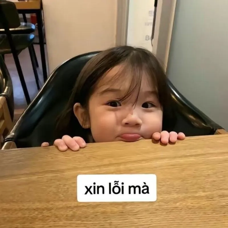 Một cái cúi đầu và ảnh meme xin lỗi là đủ
