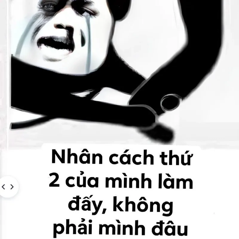 Gửi đơn xin lỗi meme cho mối quan hệ bền lâu