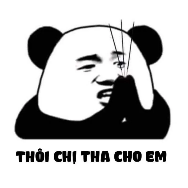 Meme gấu trúc xin lỗi – đáng yêu đến không thể giận
