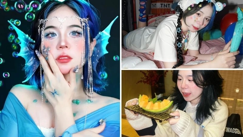 Tiểu sử về Mèo Simmy