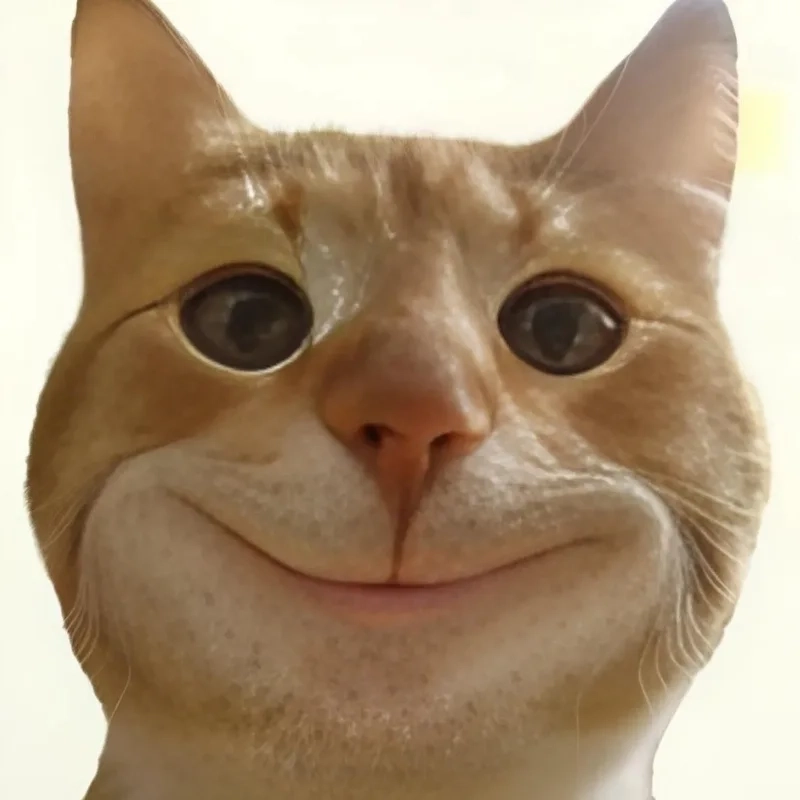 Avatar cho người không thích thể hiện avatar mèo vô tri meme
