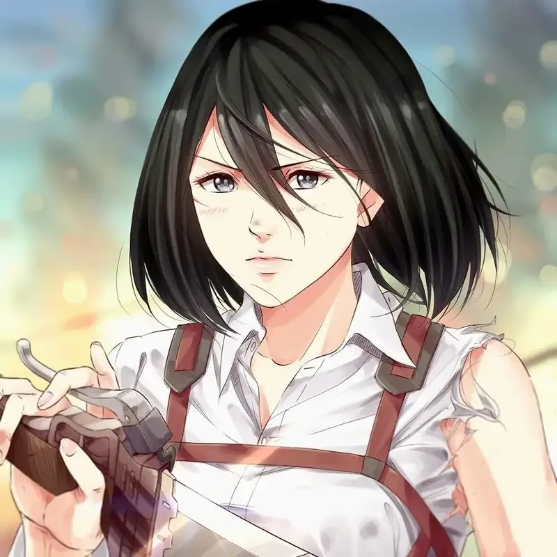 Tìm hiểu Mikasa là gì trong anime
