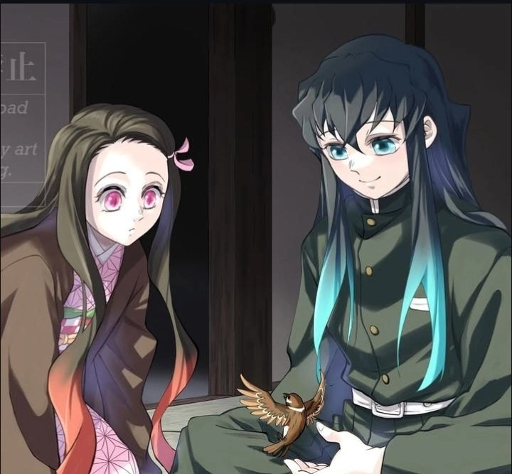 Muichirou x Nezuko truyện đầy tính nhân văn