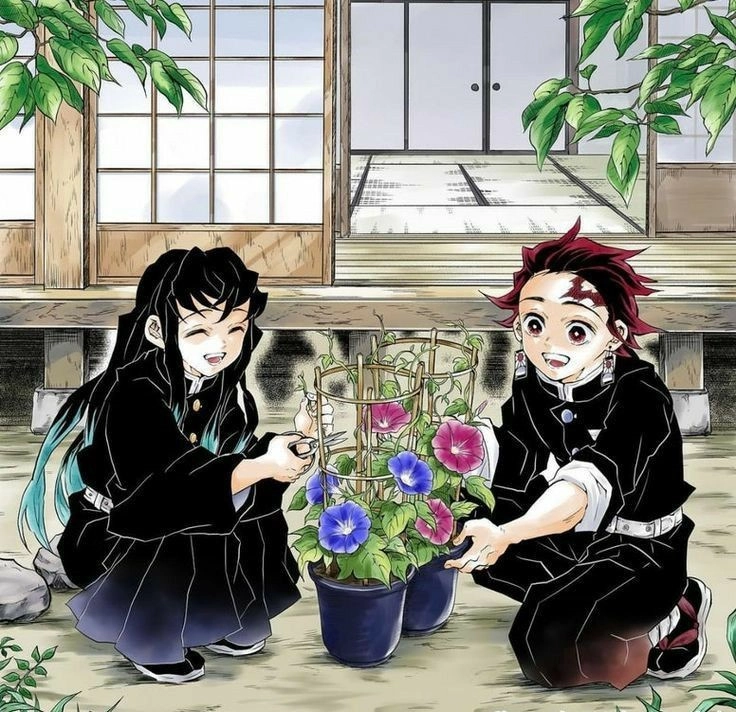 Tanjiro × Muichiro với mối quan hệ đặc biệt