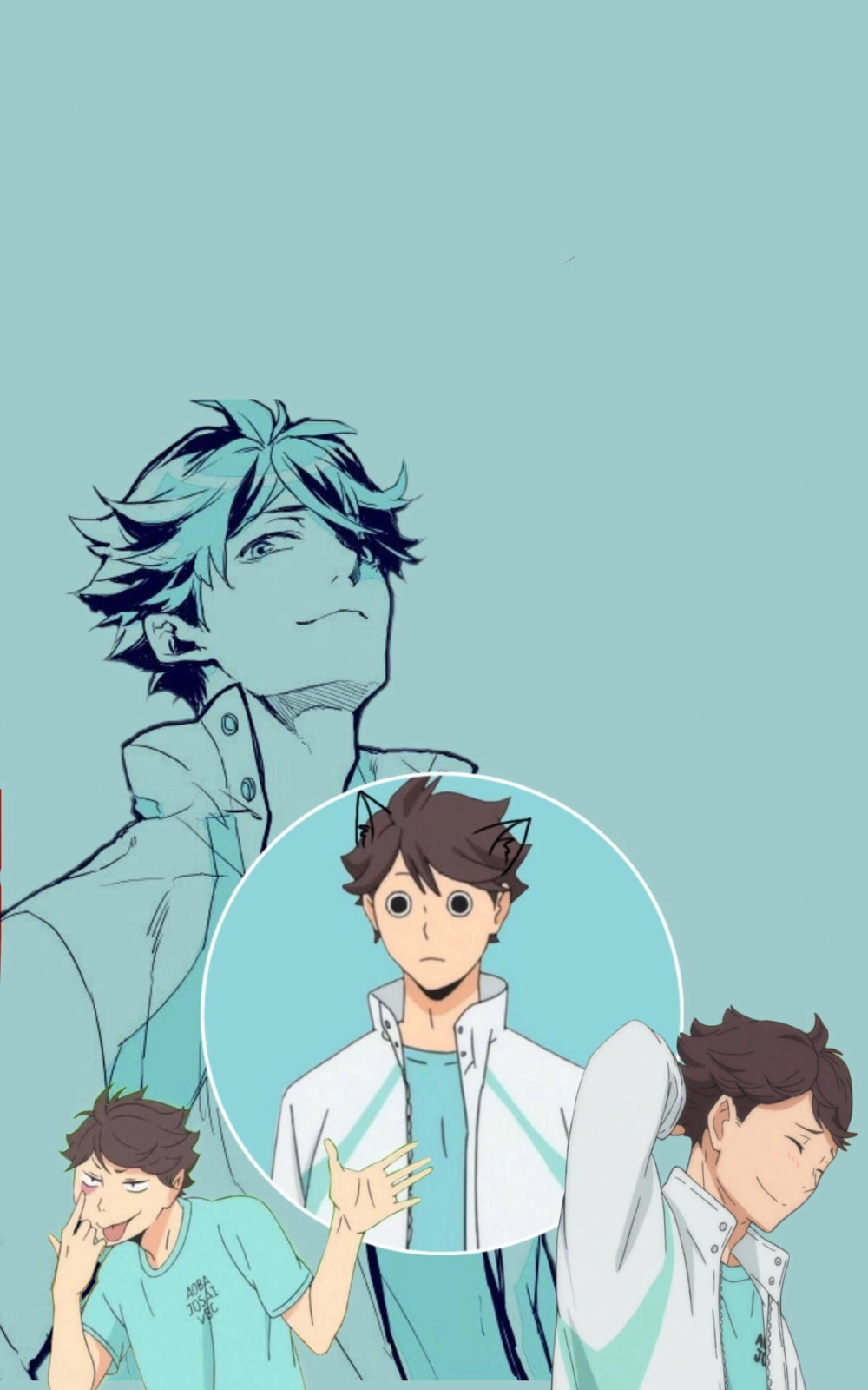 Oikawa Tooru profile cho thấy hành trình không bỏ cuộc