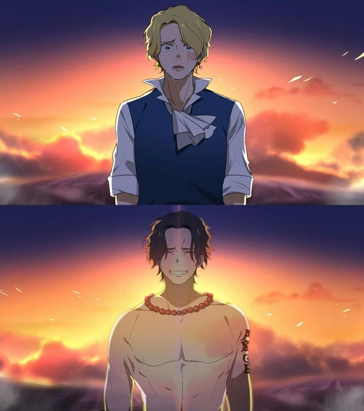 One Piece Ace Sabo hình ảnh hai huynh đệ bất tử