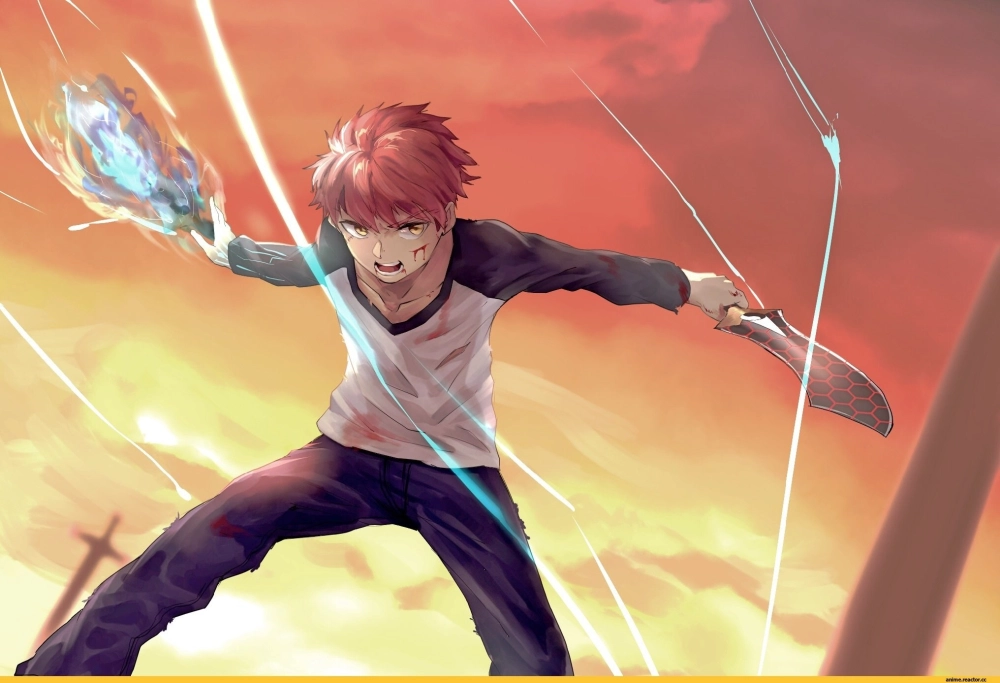 Emiya Shirou nhân vật trung tâm của Fate Stay Night