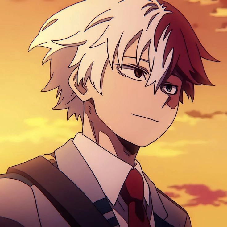 My Hero Academia Shoto nổi bật giữa dàn nhân vật