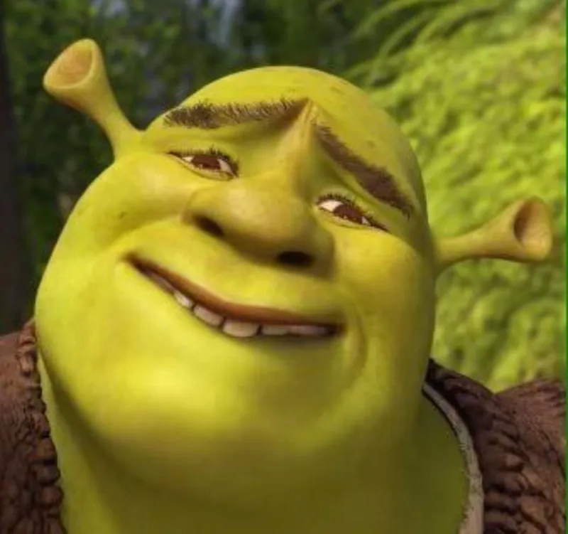Tình huống bất ngờ chỉ trong 5 minutes shrek meme
