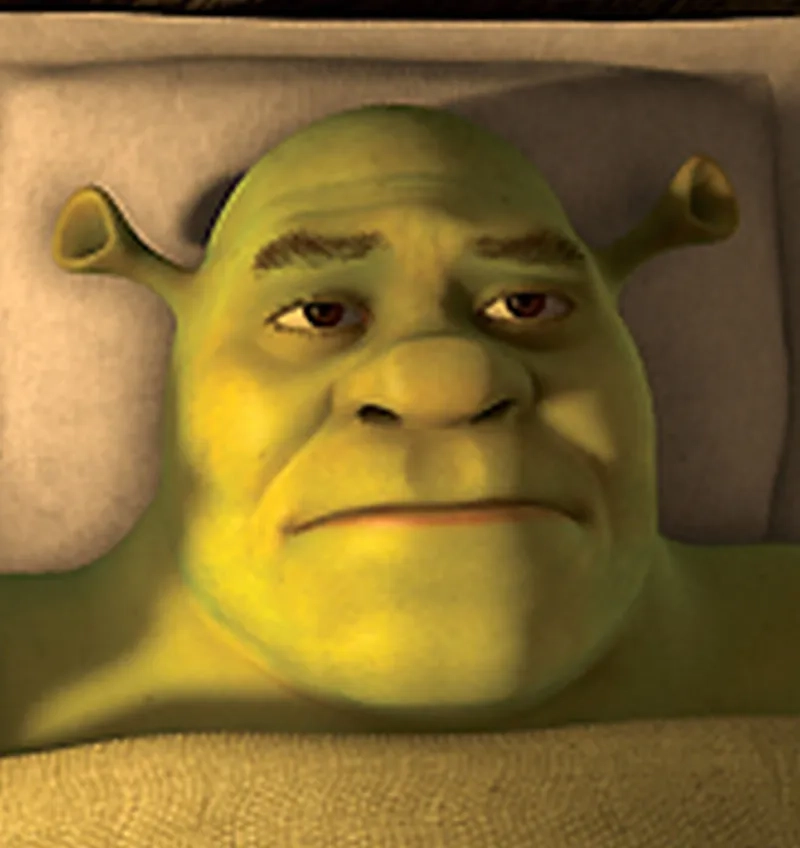 Pha xuất hiện bất ngờ của cat shrek meme
