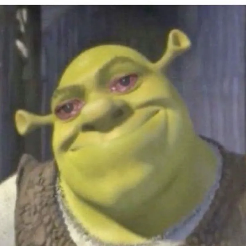Soái ca bất ngờ từ handsome shrek meme