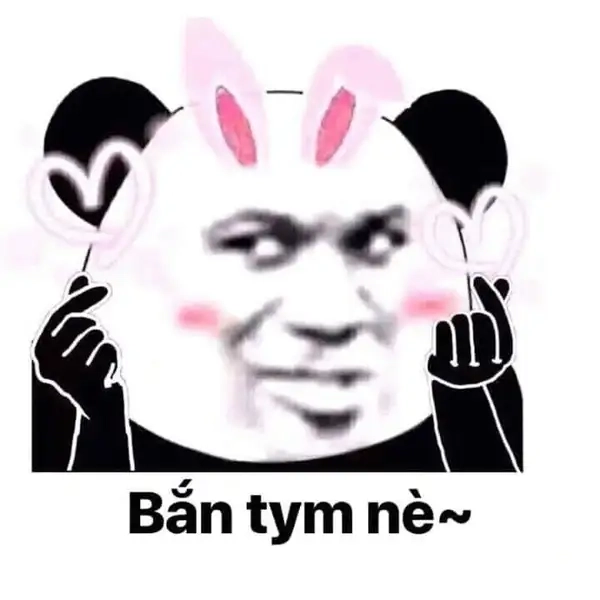 Gấu dễ thương quá trời trong meme gấu thả tim