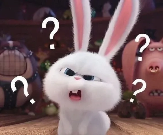 Siêu dễ thương cùng bộ sưu tập thỏ snowball meme mới nhất