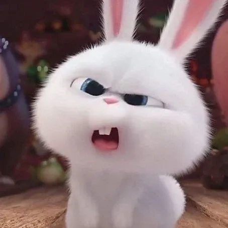 Khám phá những biểu cảm đáng yêu từ thỏ snowball avatar