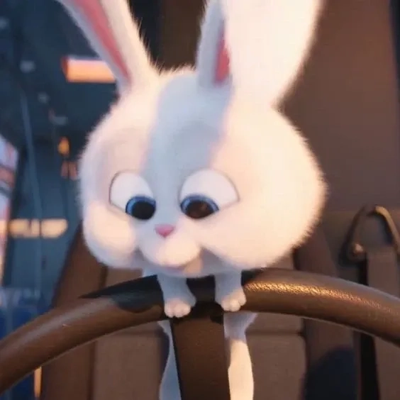 Tìm hiểu về thỏ snowball phim khiến mọi người mê mẩn