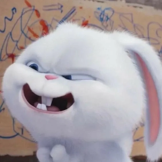 Pha trò bá đạo của đầu gấu thỏ snowball meme gây sốt