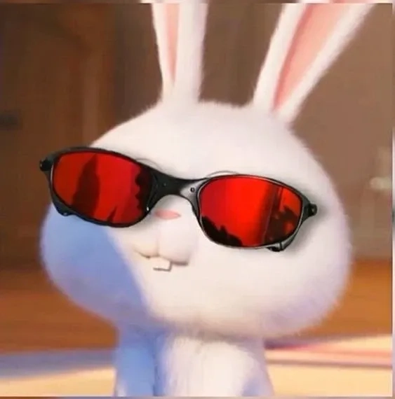 Cùng ngắm rabbit thỏ snowball avatar siêu dễ thương