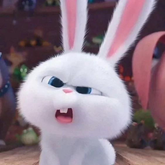 Biểu cảm siêu cute trong bộ sưu tập thỏ snowball cute