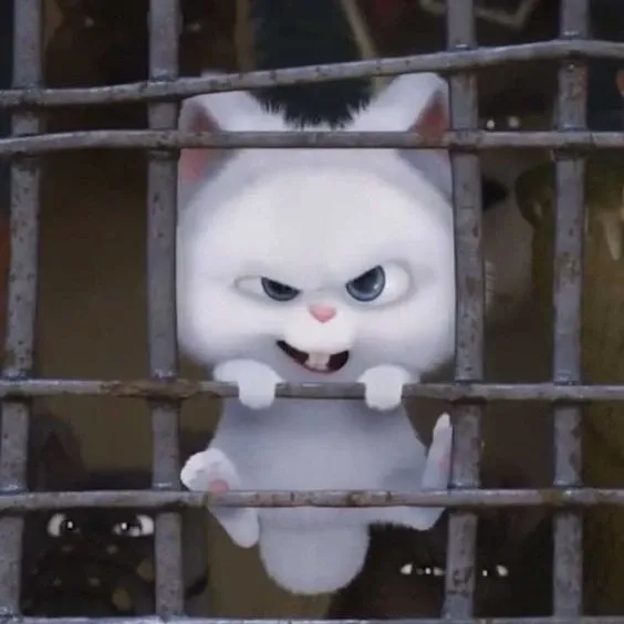 Trào lưu hot hiện nay với meme thỏ snowball hài hước