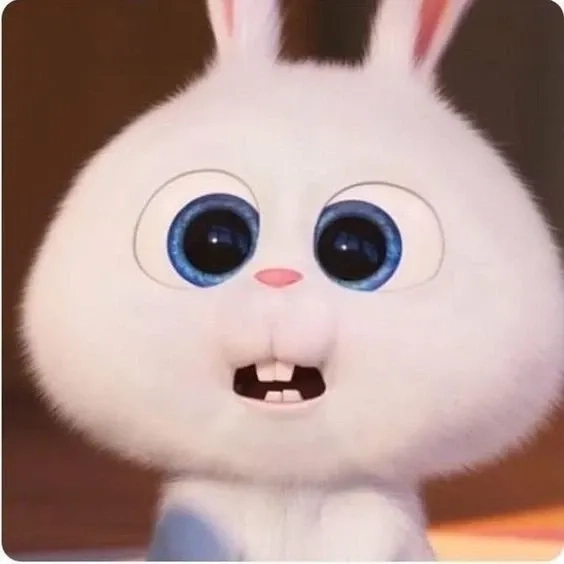Thể hiện cá tính với avatar thỏ snowball độc đáo
