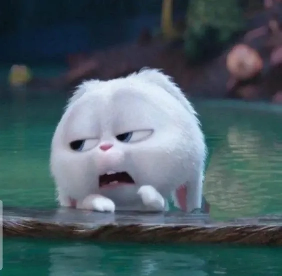 Cập nhật bộ hình nền thỏ snowball đáng yêu cho điện thoại