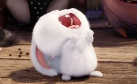 Tận hưởng sự dễ thương của con thỏ snowball trong mọi khoảnh khắc
