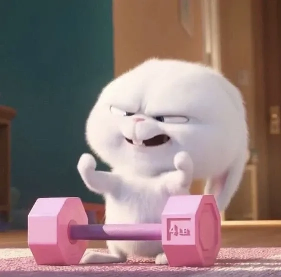 Hình ảnh siêu hài hước về thỏ snowball tập tạ làm bạn bật cười