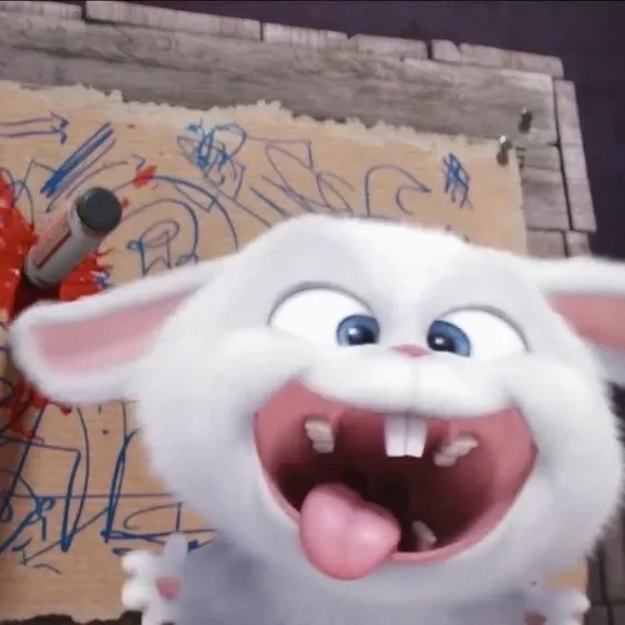 Thoải mái cười với bộ ảnh thỏ snowball cười vui nhộn