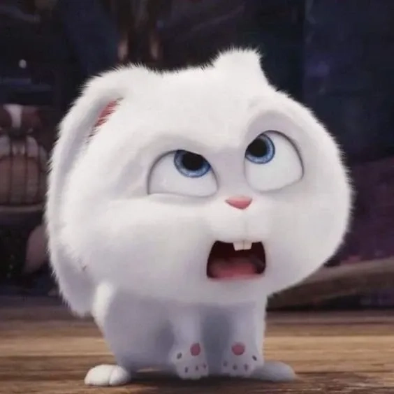 Pha biểu cảm độc đáo của thỏ snowball tức giận gấu bông siêu chất