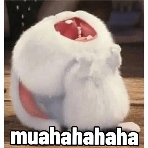 Khoảnh khắc xúc động trong thỏ snowball khóc ai cũng yêu
