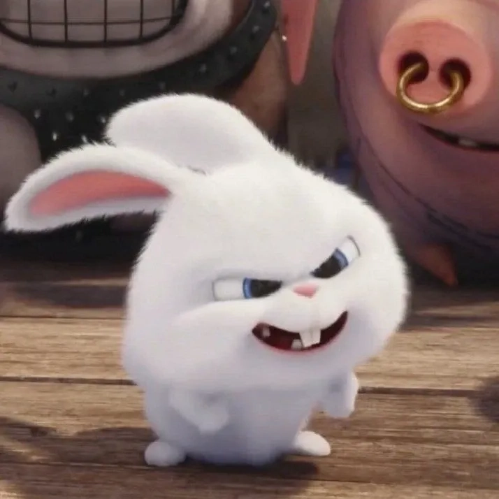 Mua ngay thỏ snowball mua ở đâu để sở hữu món đồ yêu thích