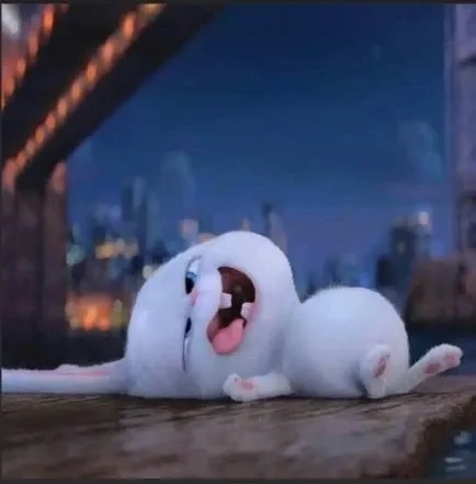 Bộ sưu tập gấu siêu cute với gấu thỏ snowball khiến bạn thích mê