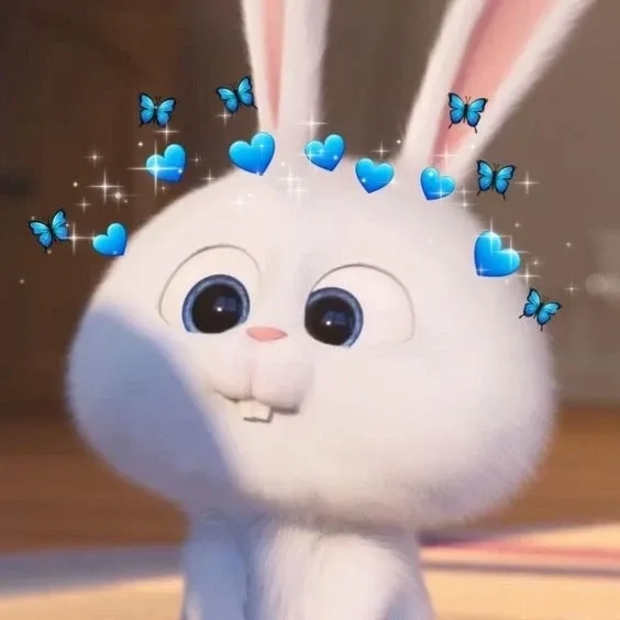 Mô hình đẹp mắt và dễ thương của mô hình thỏ snowball hot nhất