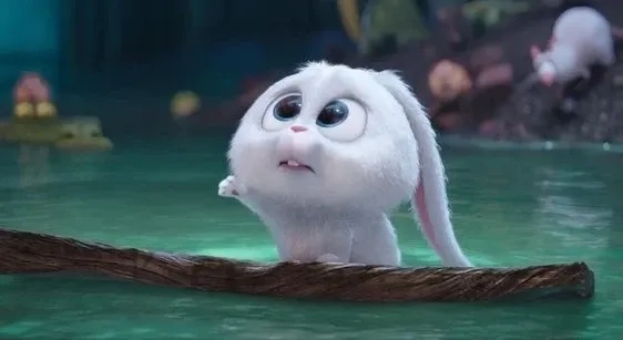 Thỏ bông mềm mại và dễ thương từ thỏ snowball bông được săn đón