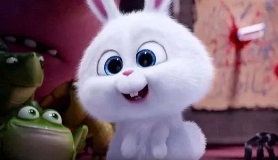 Xem ngay phim thú vị về thỏ snowball phim gì được nhiều người thích