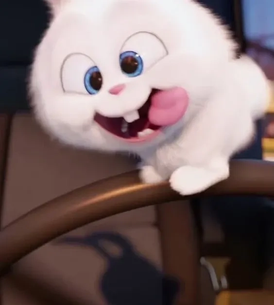 Bộ sưu tập gấu bông tuyệt vời với thỏ snowball thú bông độc đáo
