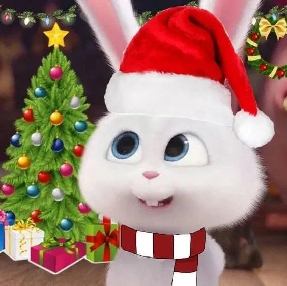 Giải đáp thắc mắc thỏ snowball trong phim gì siêu hot hiện nay